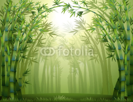 Naklejki A green bamboo forest