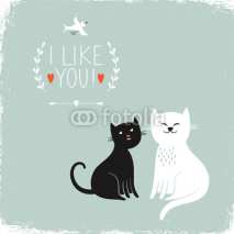 Obrazy i plakaty two cute cats