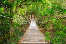 Naklejki Bridge to the jungle,Khao Yai national park,Thailand