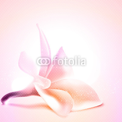 Greeting or invitation card template with magnolia flower.