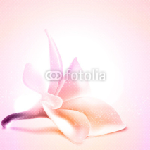 Obrazy i plakaty Greeting or invitation card template with magnolia flower.