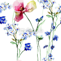 Fototapety Seamless pattern with wild flowers