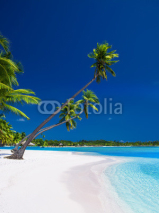 Fototapety Palm trees hanging over lagoon with blue sky