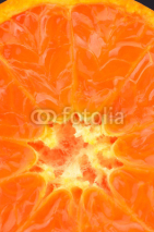 Fototapety Little oranges
