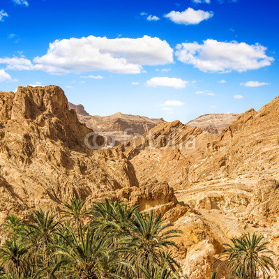 Mountain oasis Chebika at border of Sahara, Tunisia, Africa