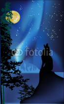 Naklejki howling wolf on rock at aurora