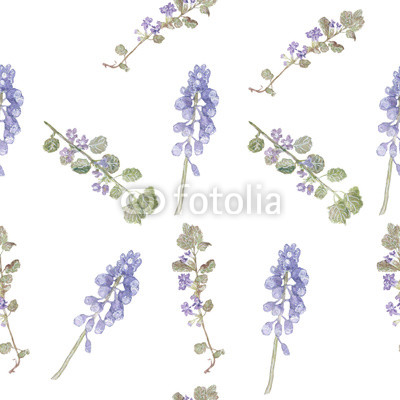Pattern purple flowers. Field flowers, fine grass pattern watercolor