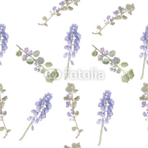 Obrazy i plakaty Pattern purple flowers. Field flowers, fine grass pattern watercolor