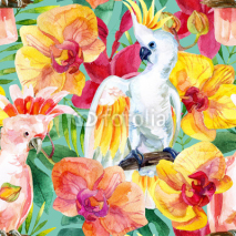 Fototapety watercolor Australian Cockatoo seamless pattern
