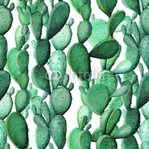 Fototapety Watercolor cactus tropical garden seamless pattern.