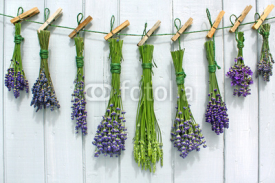 Fototapety lavendel