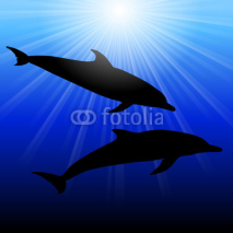 Naklejki Dolphins