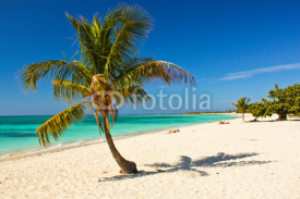 Fototapety Caribbean Island Paradise , Cuba