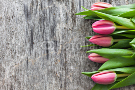 Naklejki Tulpen auf Holz