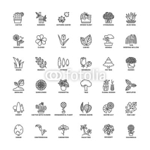 Outline icons. Flowers, plants and trees
