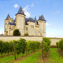 Naklejki Saumur castle and vineyards