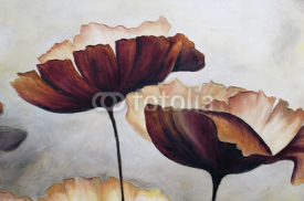 Fototapety Poppy abstract painting