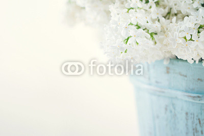 Bouquet of white lilac spring flowers