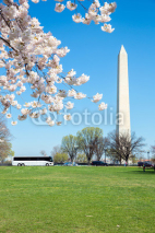 Fototapety Washington Monument