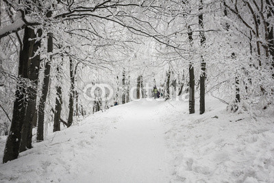 Winter in Beskidy mountains near Szyndzielnia, Klimczok and Blatnia, Beskid Slaski, Poland