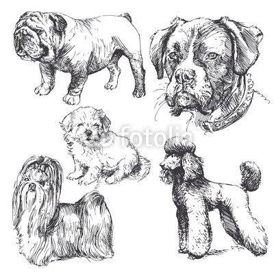 hand drawn dogs