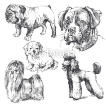 Fototapety hand drawn dogs