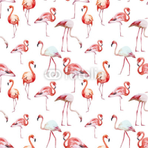 Obrazy i plakaty Flamingo pattern
