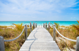 Fototapety Caribbean beach