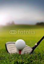 Naklejki Golf club and ball in grass