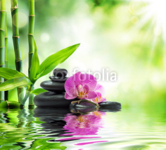Obrazy i plakaty Background spa - orchids black stones and bamboo on water