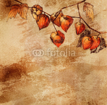 Grunge background with a sketch of orange physalis