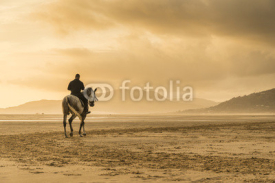 Naklejki Horse riding on beach