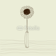 Naklejki Gerbera Daisy flower in a vase