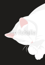 Fototapety sleeping cat