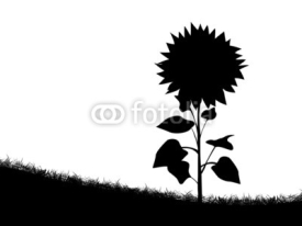Naklejki Sunflower silhouette