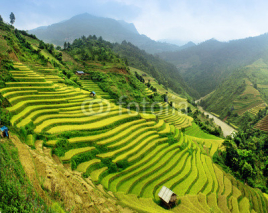 Fototapety Rice fields Mu Cang Chai, Vietnam