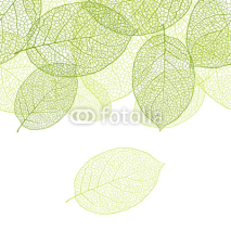 Obrazy i plakaty Fresh green leaves background - vector illustration