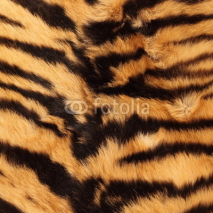 Fototapety stripes on a tiger pelt