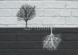 Urban art, Black and white trees