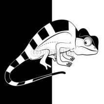 Naklejki Chameleon on black and white background