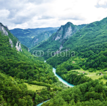 Naklejki Mountain river Tara, Durmitor, Montenegro