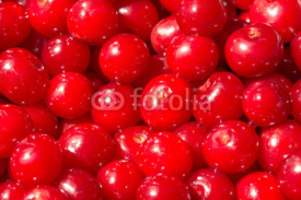 Naklejki Colorful Display Of Cherries In Fruit Market