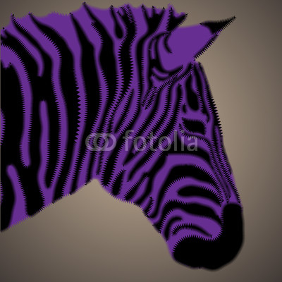 Creative zebra