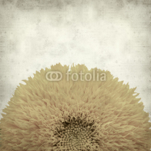 Fototapety textured old paper background