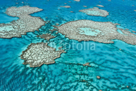 Naklejki Great Barrier Reef in Queensland,Australia.