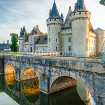 Fototapety The chateau of Sully-sur-Loire at sunset, France