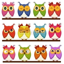 Fototapety Set of 12 owls with different emotions