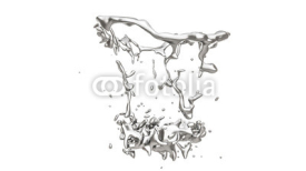 Fototapety Isolated splash of molten metal on a white background.