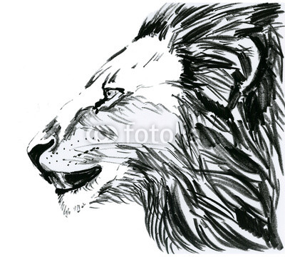 Lion, лев в профиль