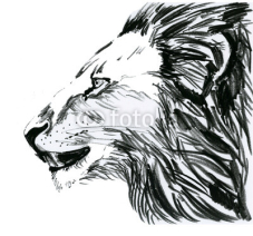 Naklejki Lion, лев в профиль